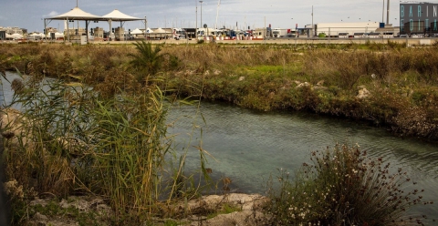 Bari, limpidi torrenti e uccelli acquatici: alla scoperta della condannata Ansa di Marisabella